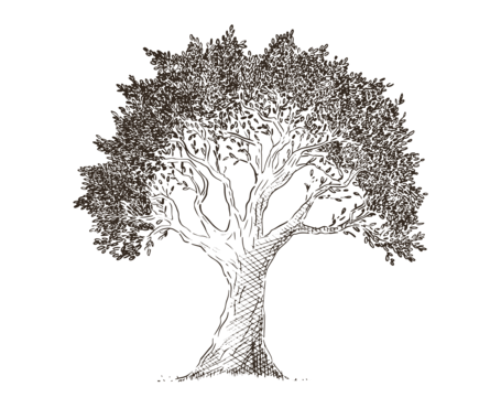 Ilustra-es-Oliva-Modular-Mesa-de-trabajo-1.png